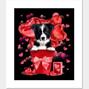 Border Collie Dog In Red Pot Happy Valentine's Day Posters and Art